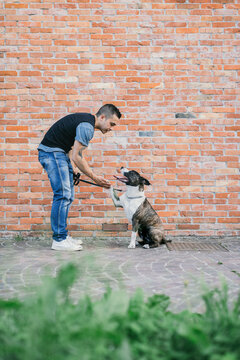 Man with his Dog. Friends forever.