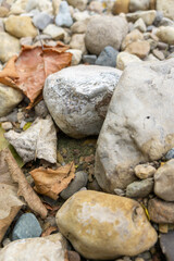 Rocks Near a Stream