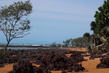 Fototapeta premium beach