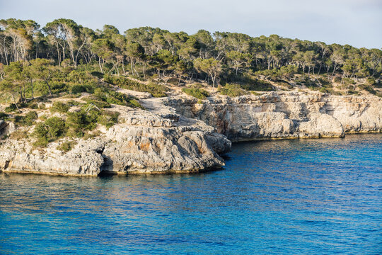 Coast landscape with cliffs, pine trees and clear blue sea in Mallorca, Spain - Powered by Adobe