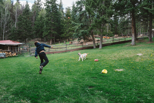 Boy Plays Fetch With Dog
