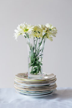 Vase Filled With Daisies, Sitting On A Mismatched Stack Of China Plates