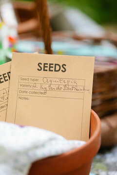 Seeds envelopes with flower name handwritten inside clay pots