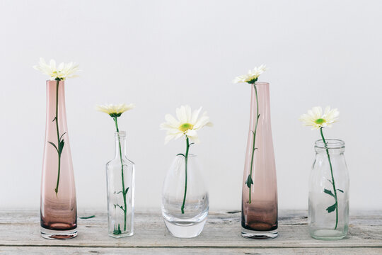 Row of glass bottles and vases holding a single daisy flower in each