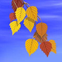 Autumn birch branch on sky background, vector illustration	