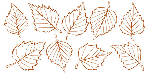 Fototapeta na wymiar Autumn birch leaves on a white background, vector illustration