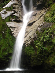 waterfall in the forest