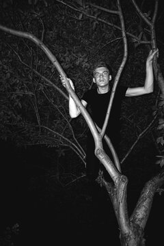 Monkey business