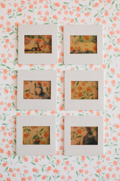 Photography slides and floral background