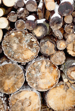 Stacked chopped wood