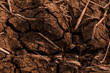 Dry and cracked soil after harvesting. Climate change concept, nature background