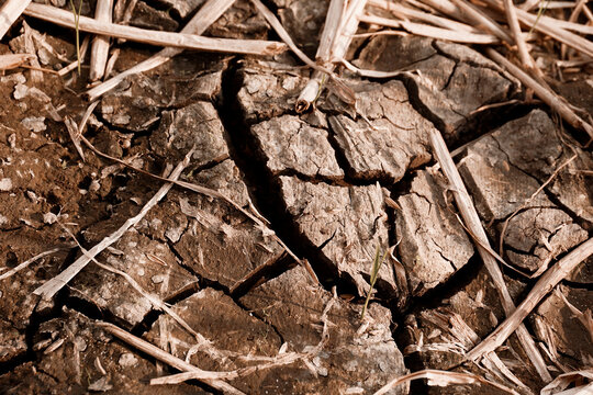 Dry and cracked soil after harvesting. Climate change concept, nature background
