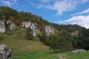 Fototapeta na wymiar mountain landscape with blue sky verdant