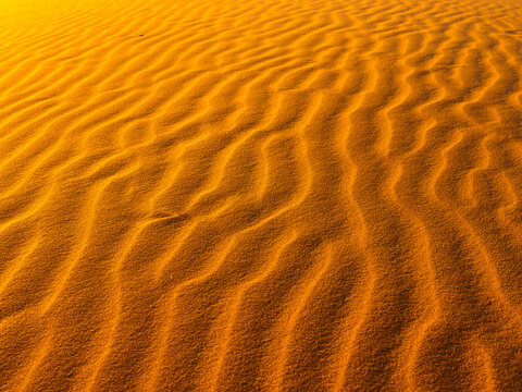 Pattern and Lines in Desert Sand Dunes