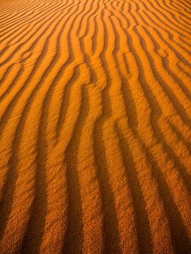 Pattern and Lines in Desert Sand Dunes