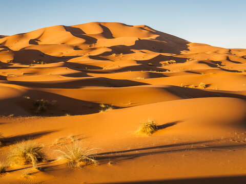 Desert Sand Dunes near Morocco's Merzouga