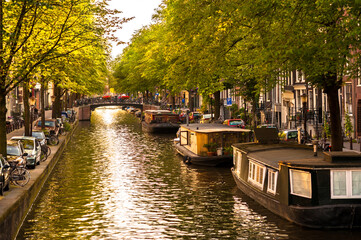 Houseboats on Amsterdam Canal in Late Afternoon Summer Sun