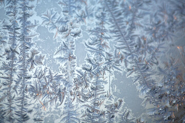 Frosty Window #5