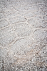 flat uyuni salt and desert , infinite mirror and water 