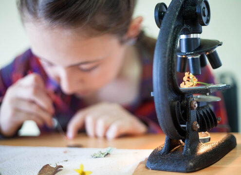 Young girl looking at various things through an old school microscope in her home