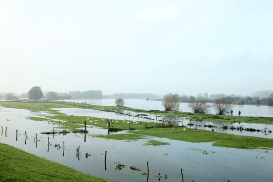 River landscape the Netherlands