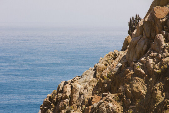 Atacama desert with cactus, rocks and sea view in Pan de Azucar