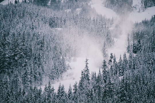 Snow guns producing snow on Whistler Blackcomb ski resort. Pine trees forest