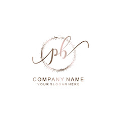 PB Initial handwriting logo template vector