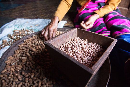 Shelling Peanuts