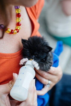 Woman feeds orphaned kitten formula with a bottle