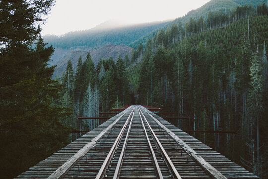Vance Creek Bridge