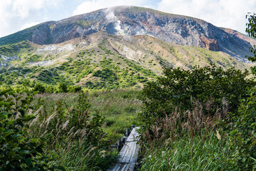 【裏磐梯／浄土平】一切経山を背景にススキと木道／磐梯朝日国立公園(磐梯吾妻スカイライン　福島県）