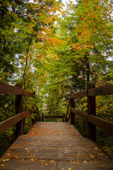 Obraz premium With the arrival of autumn, a wooden staircase in the forest was covered with fallen leaves