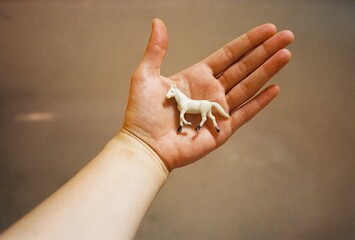 The white horse in the hand.