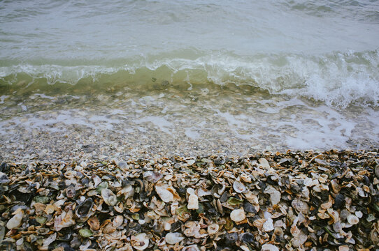 Lapping Wave