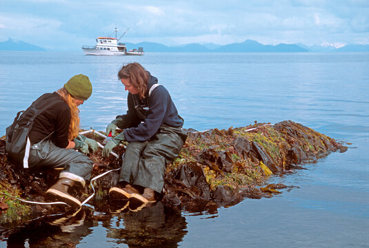 Young women collecting biological samples on a rocky outcropping