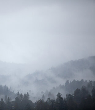 Fog nestled in the mountains on a dark, rainy day