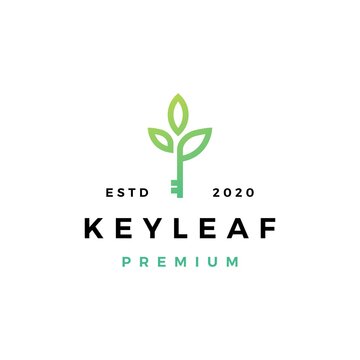 key leaf logo vector icon illustration