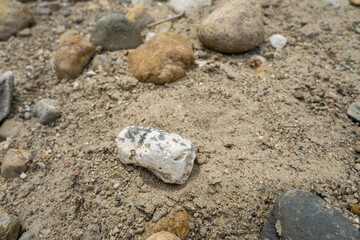 Rocks Near a Stream Nature 