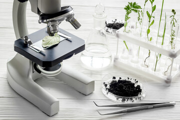 Test floral samples with microscope in biological lab