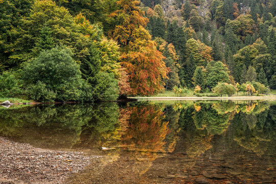 Lake in the Black Forest During Autumn