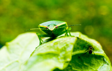 Keeping enough social distance during pandemic