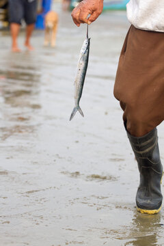 An Ecuadorian fisherman holding a small fish (halfbeak or ballyhoo)