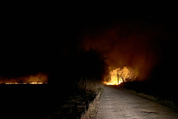 Wildfires. Burning estuary. Fire in the steppe.