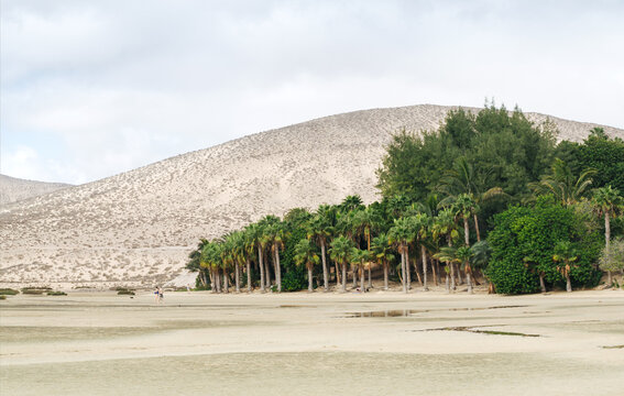 Playa Barca Beach, Fuertevenutra