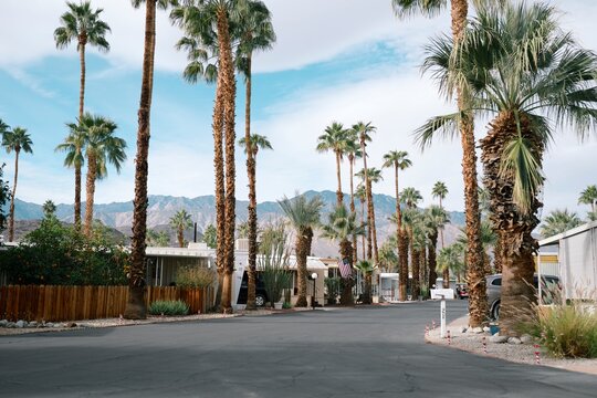 Funny little trailer park in Palm Springs.