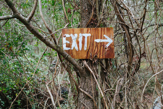 Exit painted on a piece of wood nailed to a tree in a forest