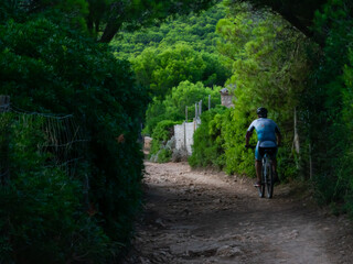 Fototapeta premium Cycling in the middle of nature. Wild bike route