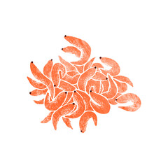 Illustration of dried shrimps, which are common ingredient in Chinese cuisine, isolated on white background.