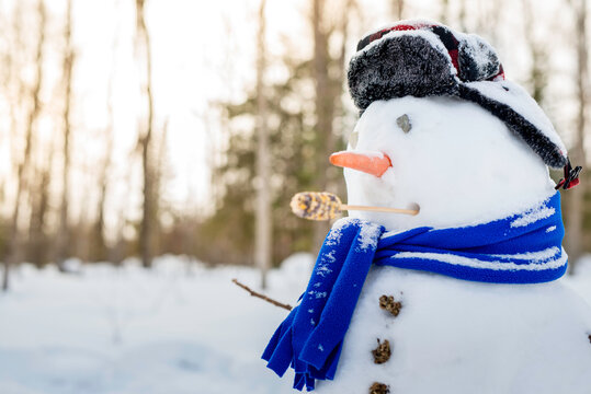 Idyllic Snowman Outdoors in Rural Setting in Winter